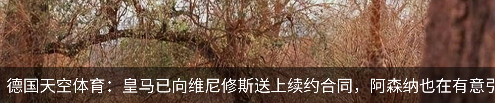 热点资讯